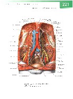 Sobotta  Atlas of Human Anatomy  Trunk, Viscera,Lower Limb Volume2 2006, page 228